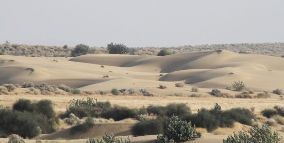 Desert National Park, Jaisalmer