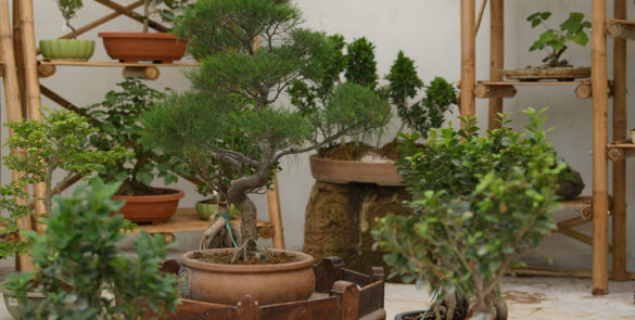 Ekta Nursery Statue of Unity