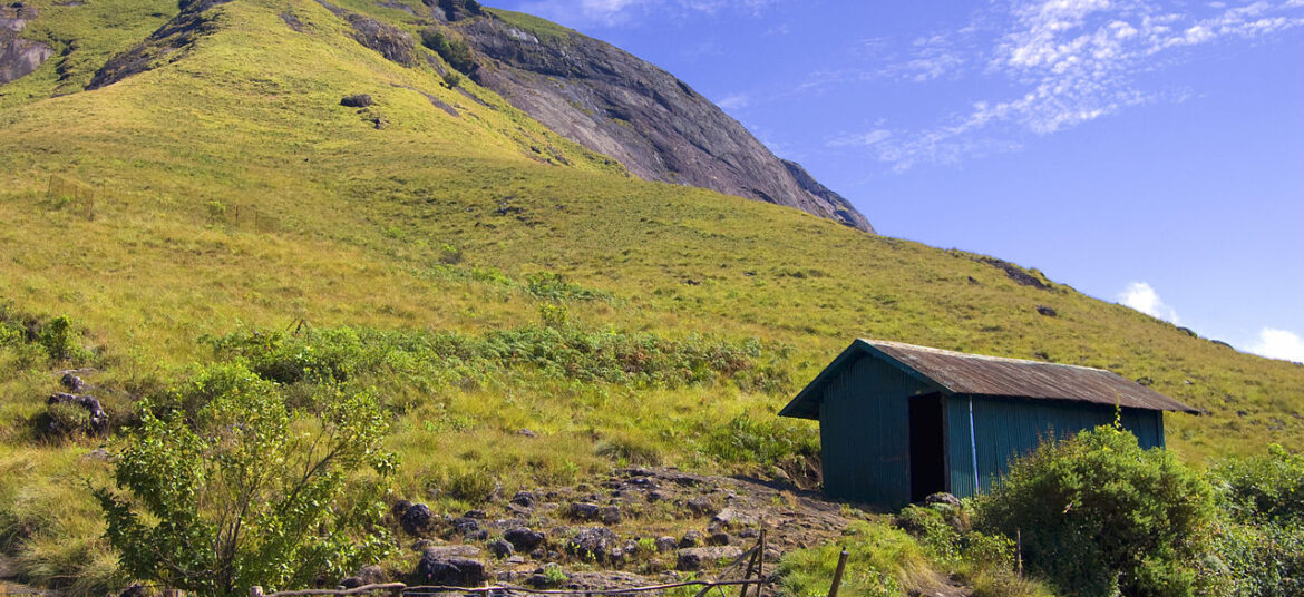 Trekking Route at Eravikulam National park