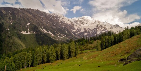 Great Himalayan National park