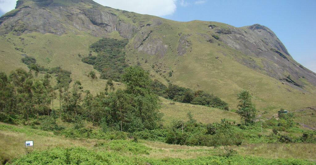 Rajamalai Hills, Munnar