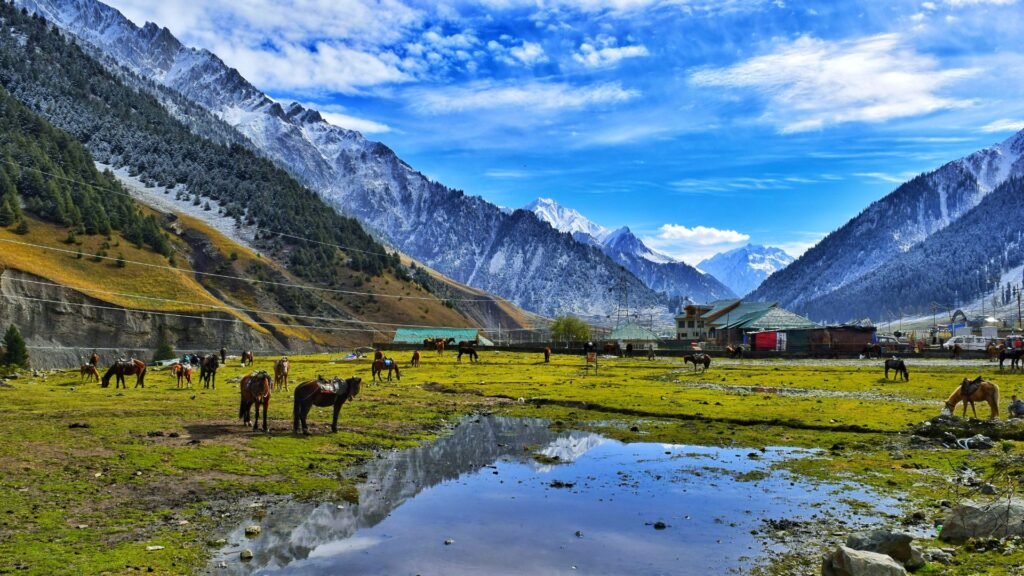 Kashmir