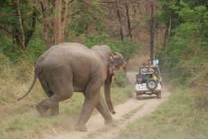 Nainital Jim Corbett Mussoorie Rishikesh Tour