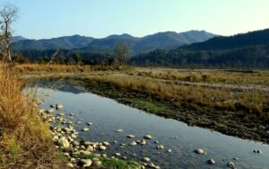 Nainital Jim Corbett Mussoorie Rishikesh Tour