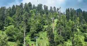 Shimla Manali Amritsar Tour