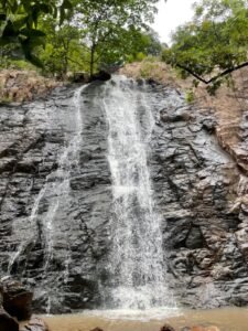 Polo Forest Camping Trip