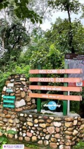 Polo Forest Camping Trip