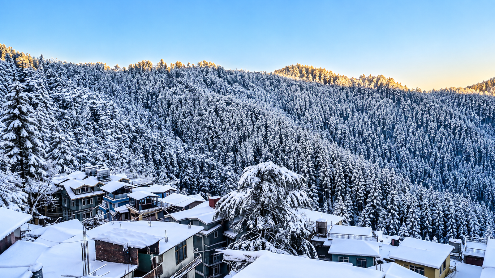 shimla
