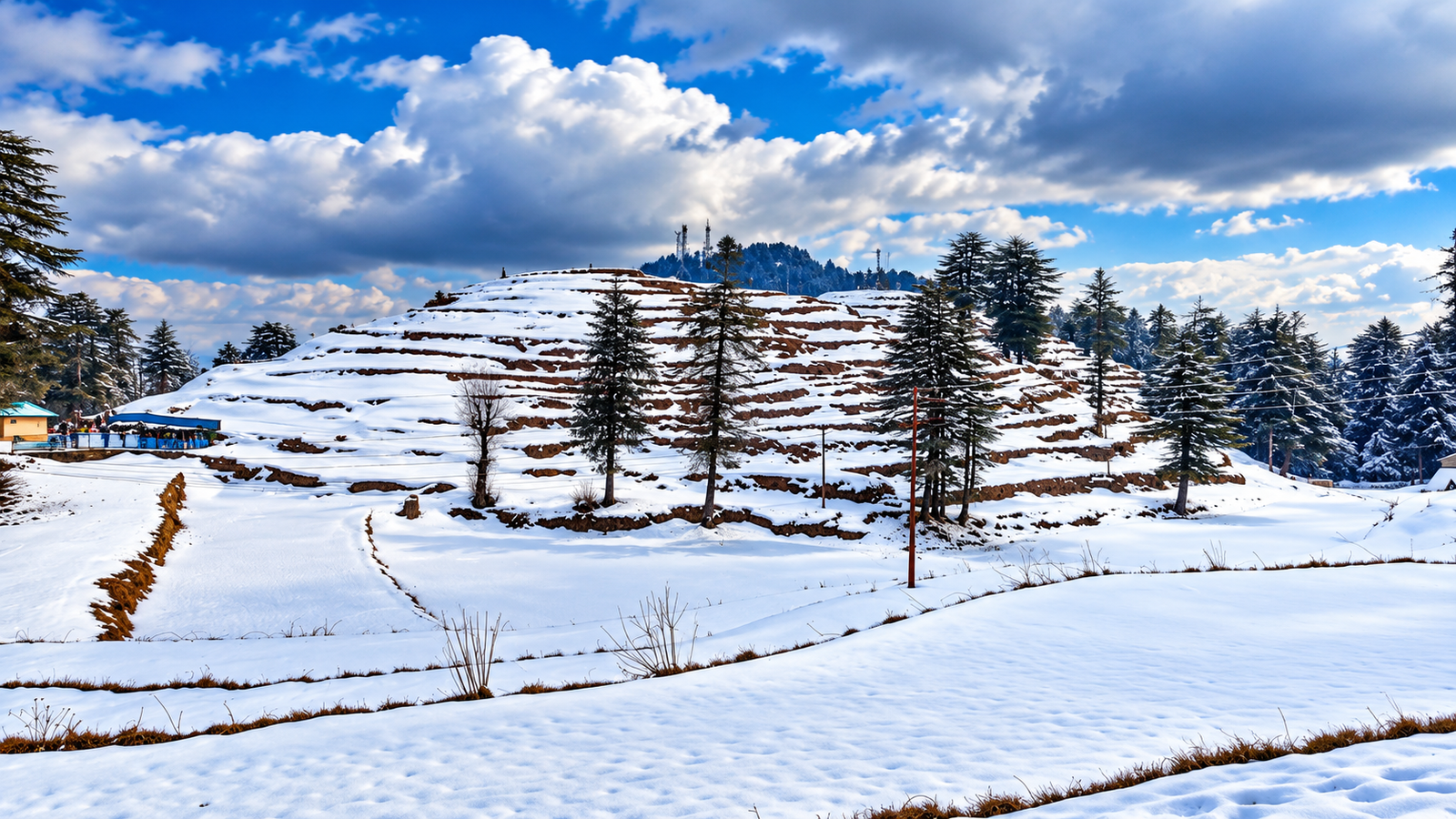 kufri shimla