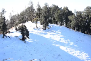 Nag Tibba Trek