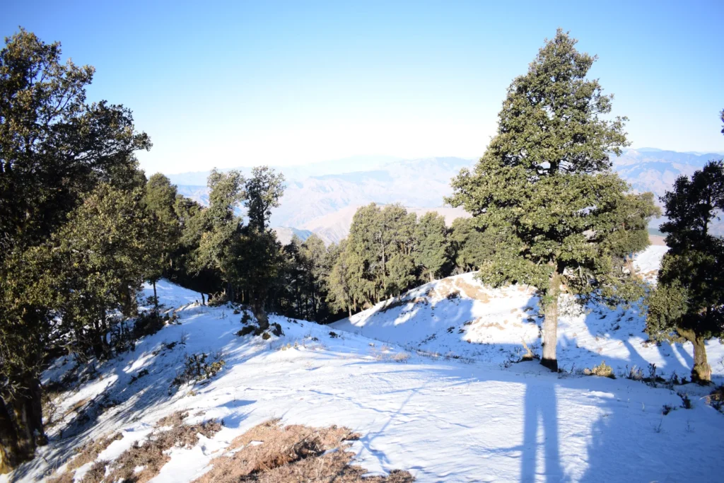 Nag Tibba Trek - tour package from Ahmedabad