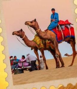 Golden City Jaisalmer havelis and bazaars, tour package from Ahmedabad